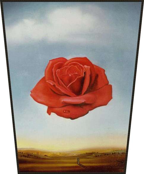 Ekran Róża medytacyjna Salvador Dali