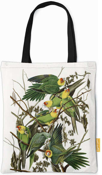 Torba na ramię Carolina Parakeet James Audubon