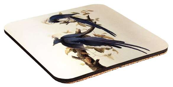 Podkładka pod kubek Magpie Jay James Audubon