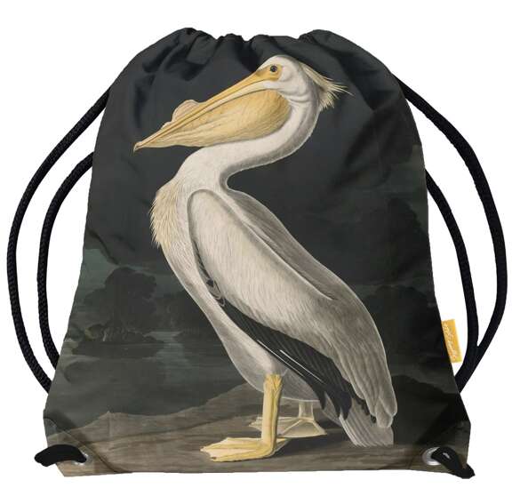 Worek American White Pelican James Audubon