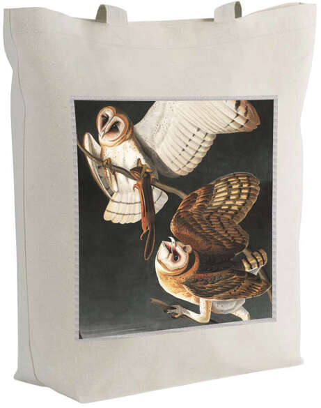 Torba z naszywką Barn Owl, Tyto Alba James Audubon