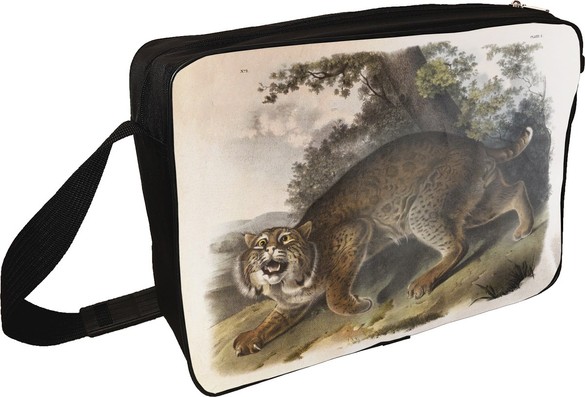 Torba na ramię Common American Wildcat James Audubon