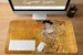 Podkładka Złota Adela Gustav Klimt 60x40cm