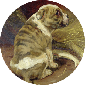 William Henry Hamilton Trood