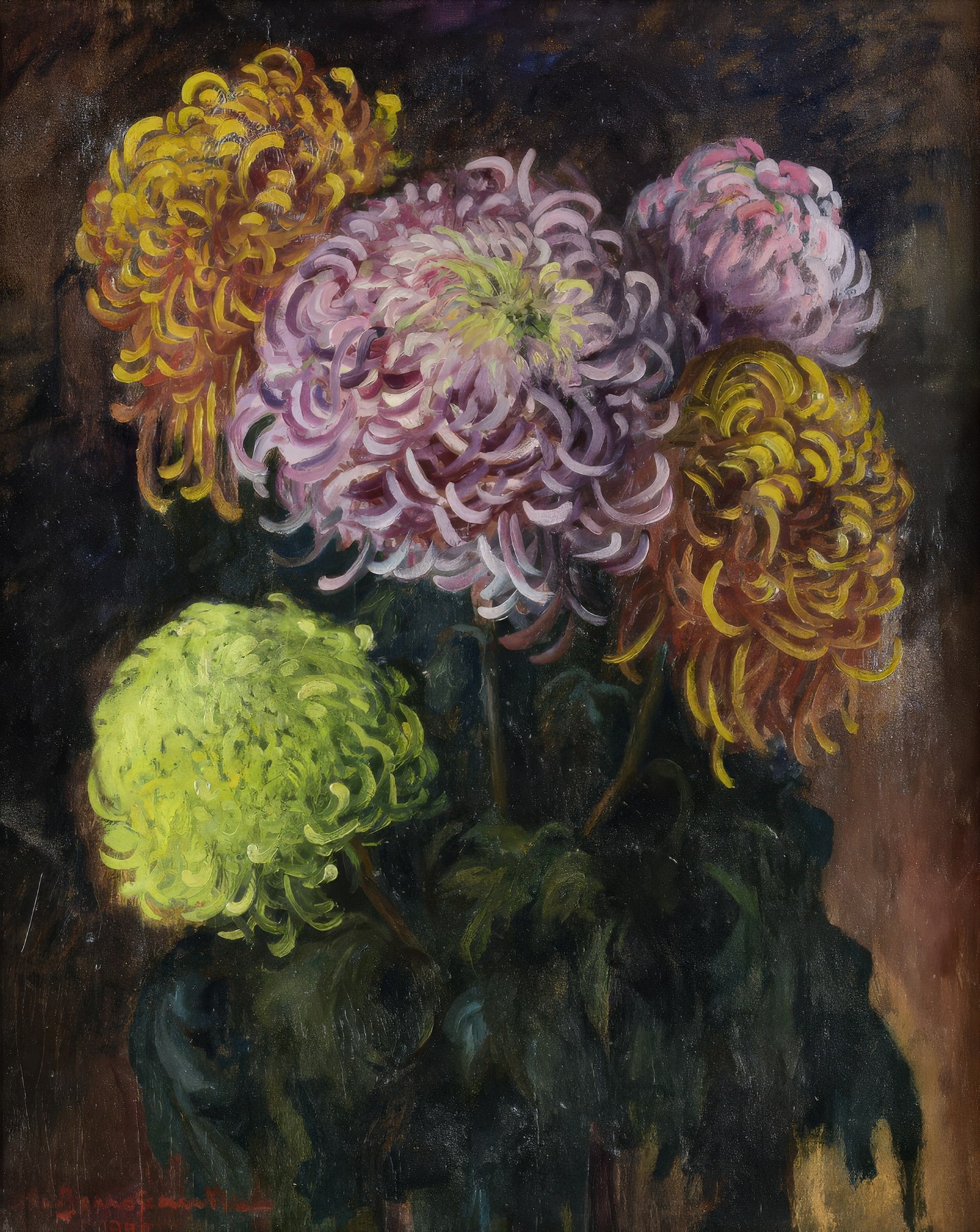 Michalina Janoszanka – Chryzantemy