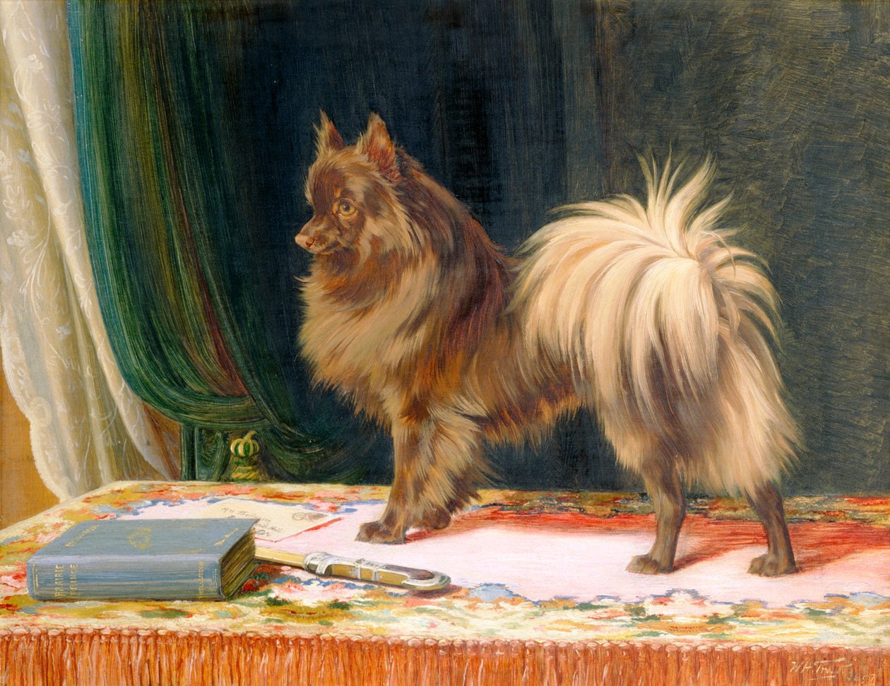 William Henry Hamilton Trood – Portret Księcia Prerii