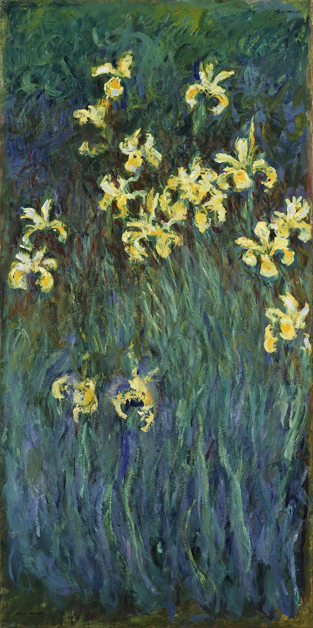 Claude Monet – Irysy
