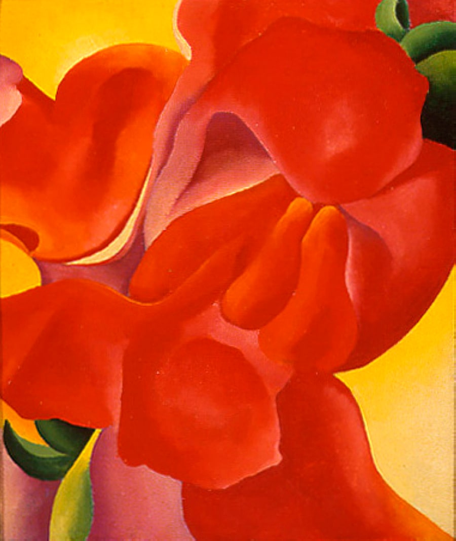 Georgia O’Keeffe – czerwona kanna