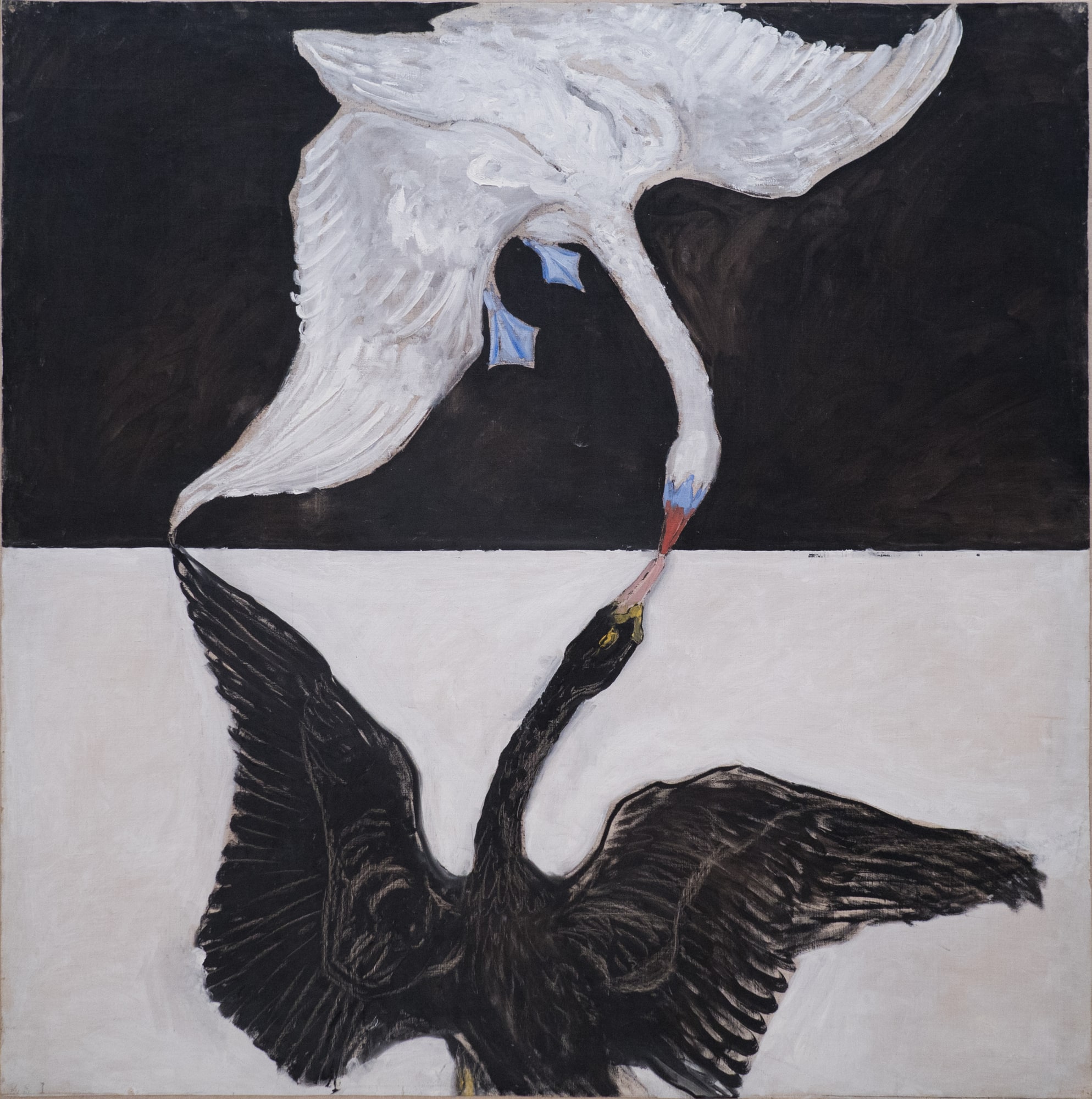 Hilma af Klint – Łabędź, Nr 1