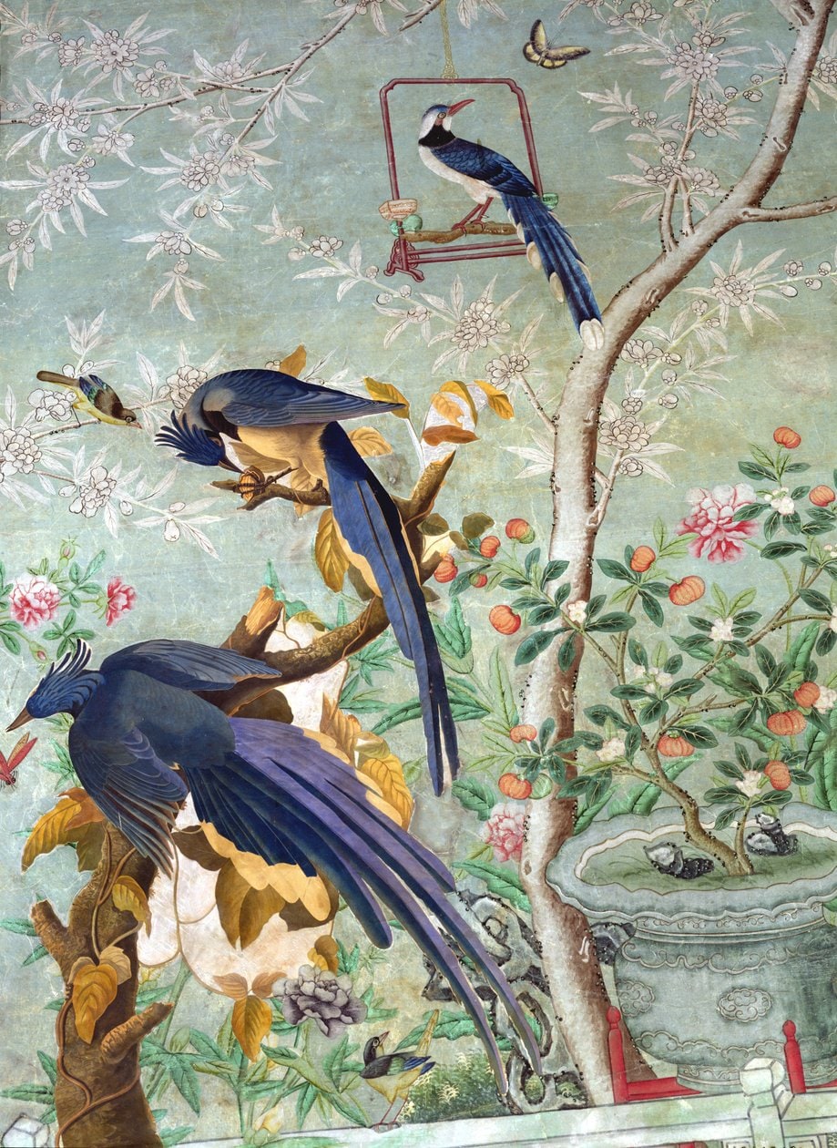 James Audubon – A pair of magpie jays