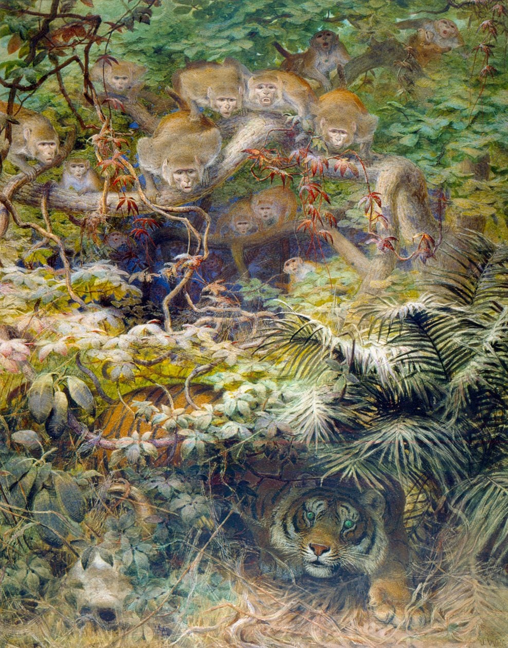 Joseph Wolf – Row in the Jungle