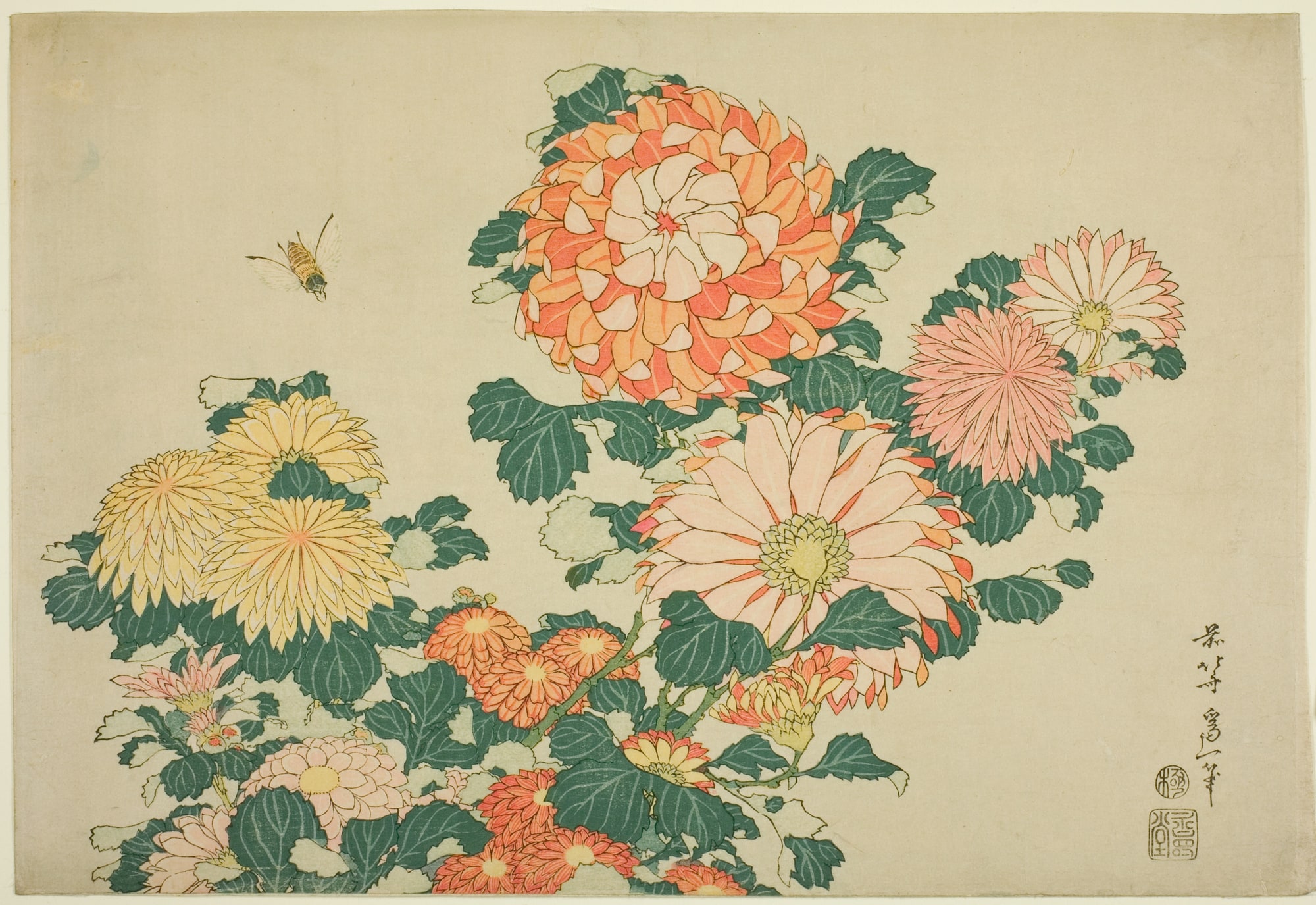 Katsushika Hokusai – Chryzantemy i pszczoła