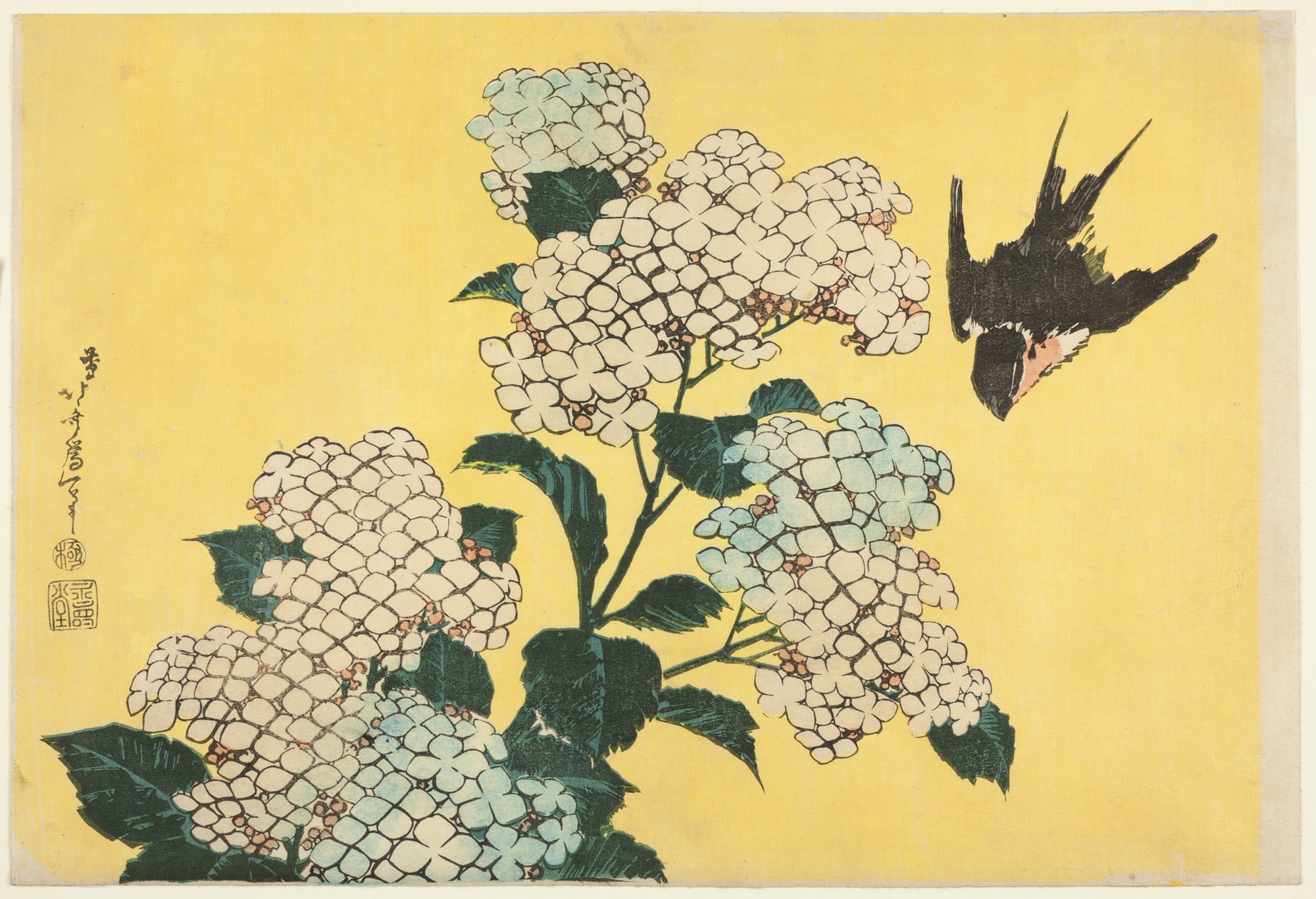 Katsushika Hokusai – Hortensja i Jaskółka