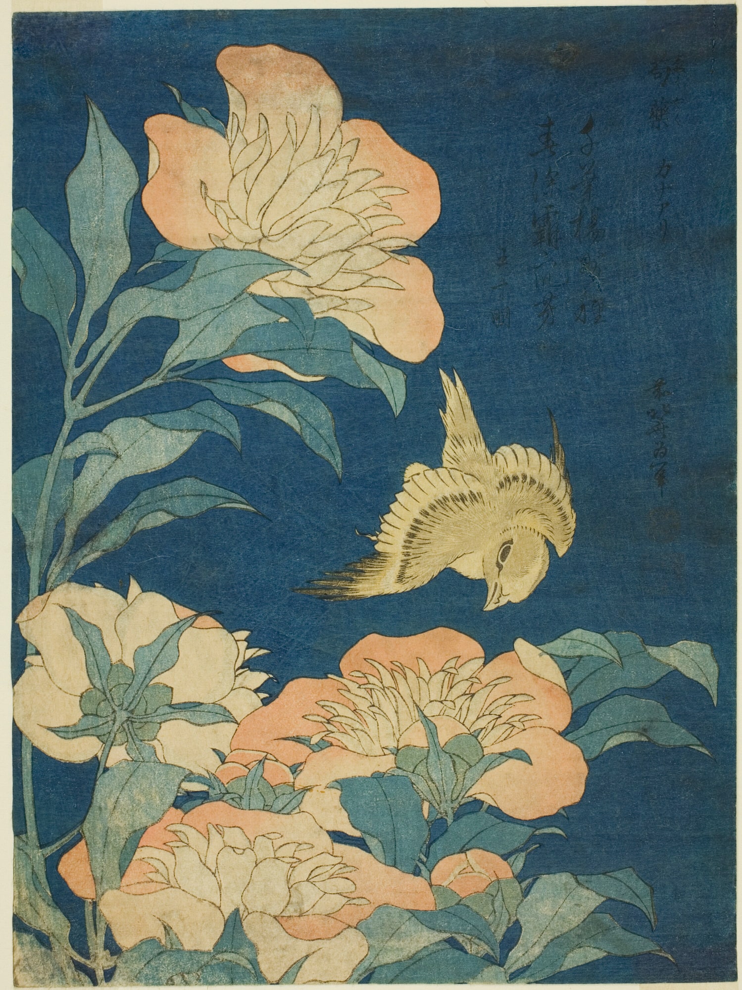 Katsushika Hokusai – Kanarek i piwonia