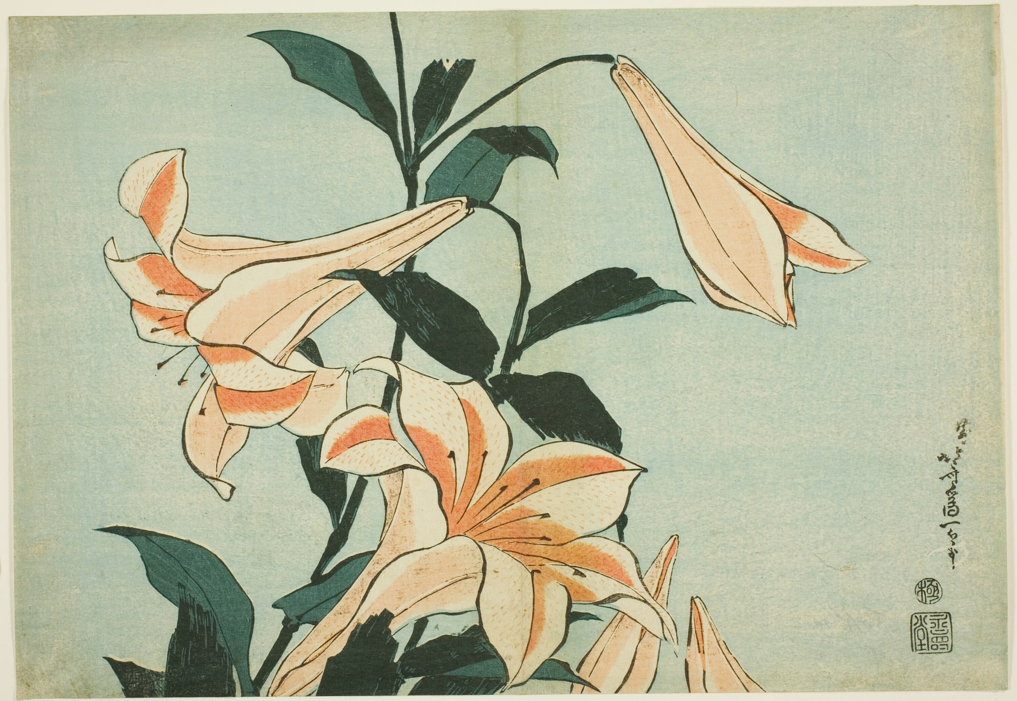 Katsushika Hokusai – Lilie