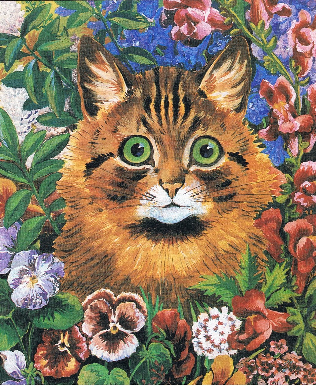 Louis Wain – Studium kota
