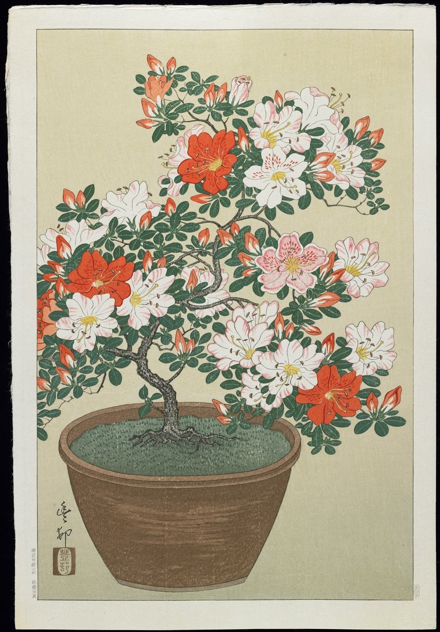 Ohara Koson – Azalia w doniczce