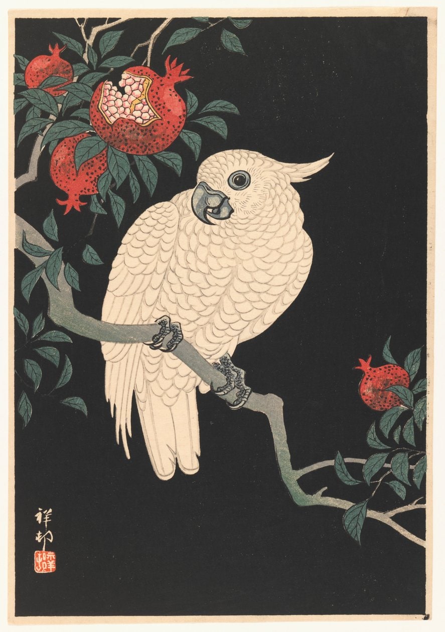 Ohara Koson – Biała papuga i granat