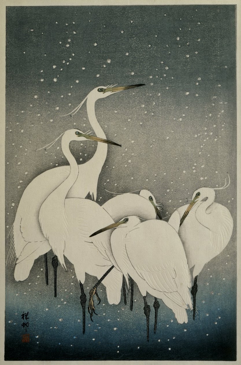 Ohara Koson – Grupa czapli