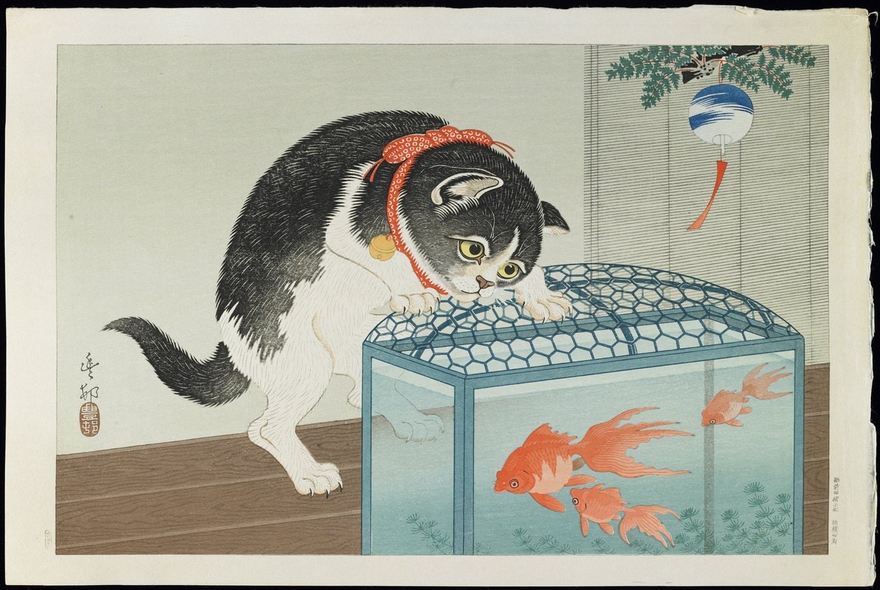Ohara Koson – Kot i złota rybka