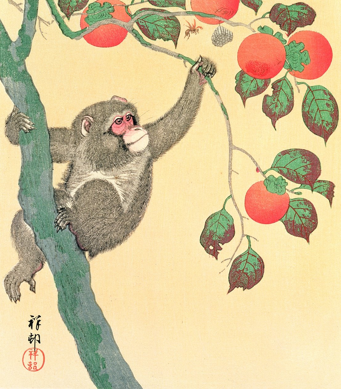 Ohara Koson – Małpa na drzewie persymonowym