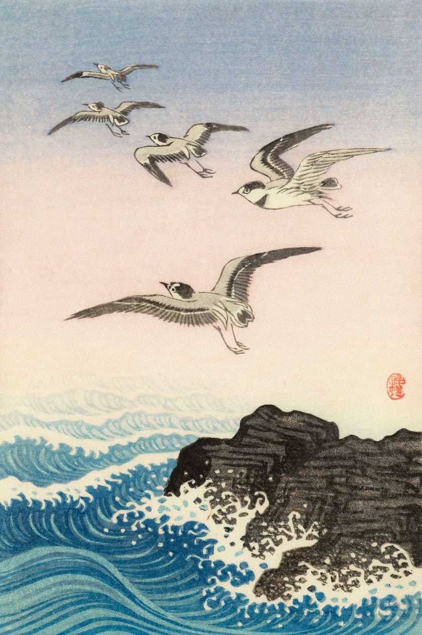 Ohara Koson – Pięć mew nad skałą w morzu