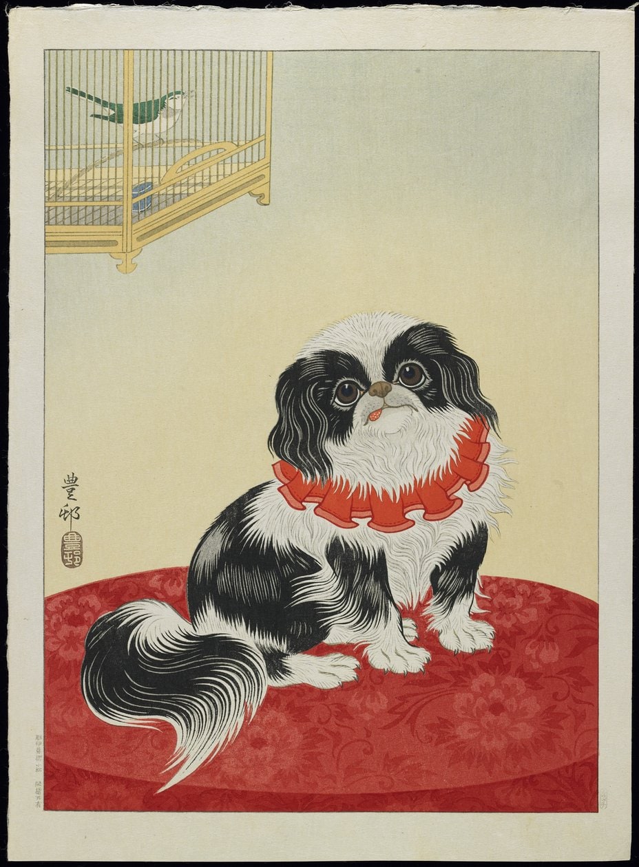 Ohara Koson – Pies pekińczyk