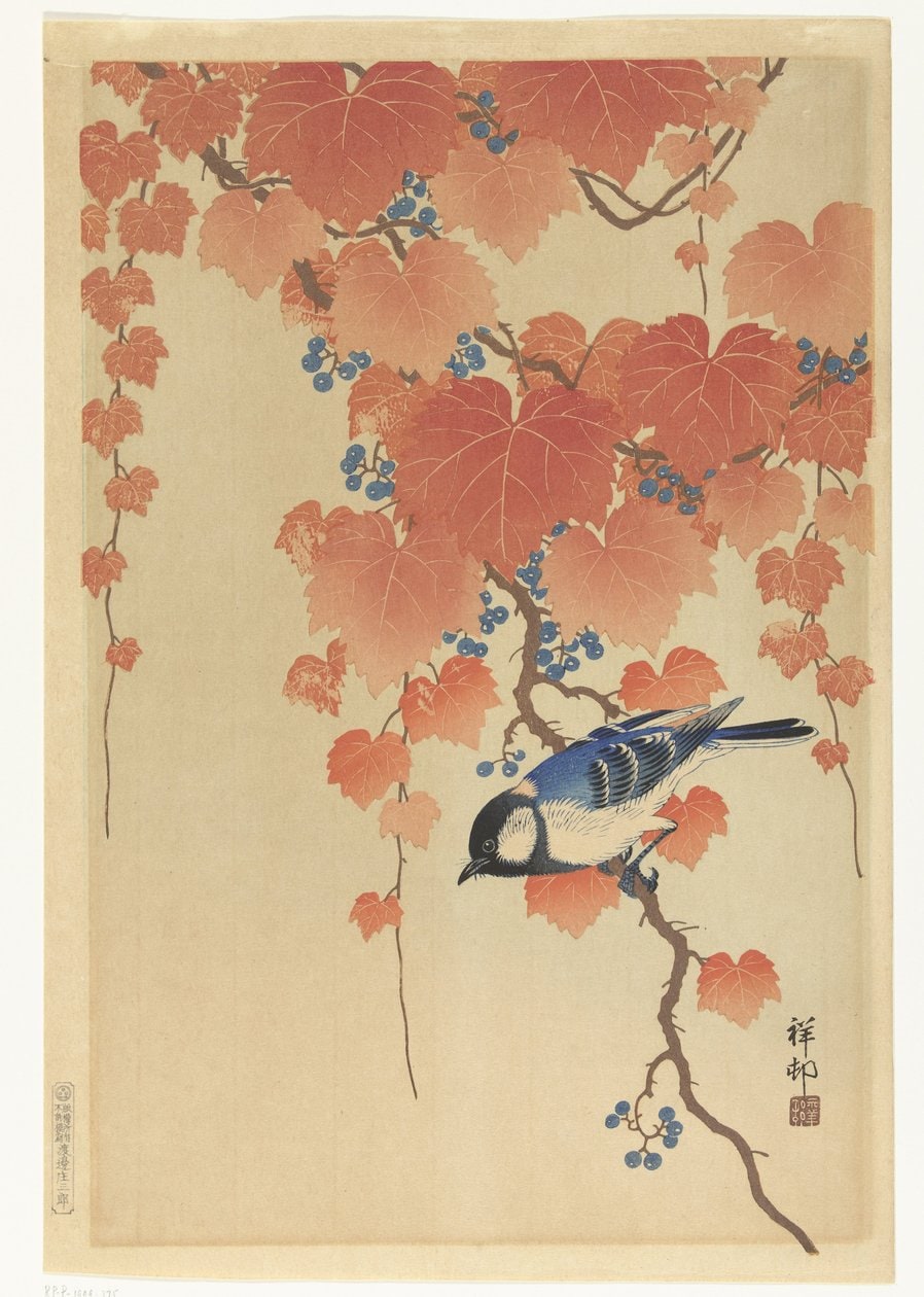Ohara Koson – Sikora bogatka na gałęzi paulowni
