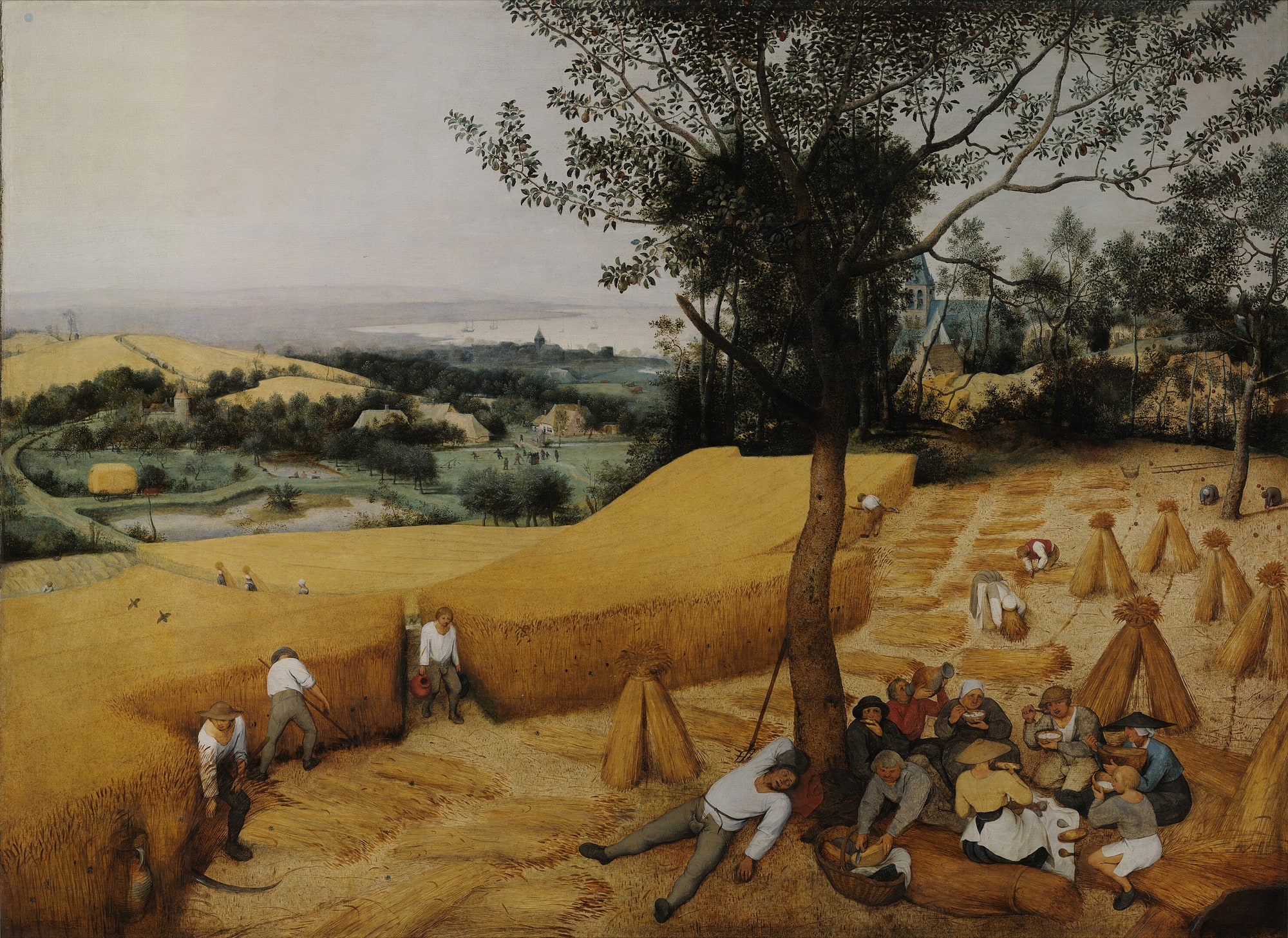 Pieter Bruegel starszy – Żniwa