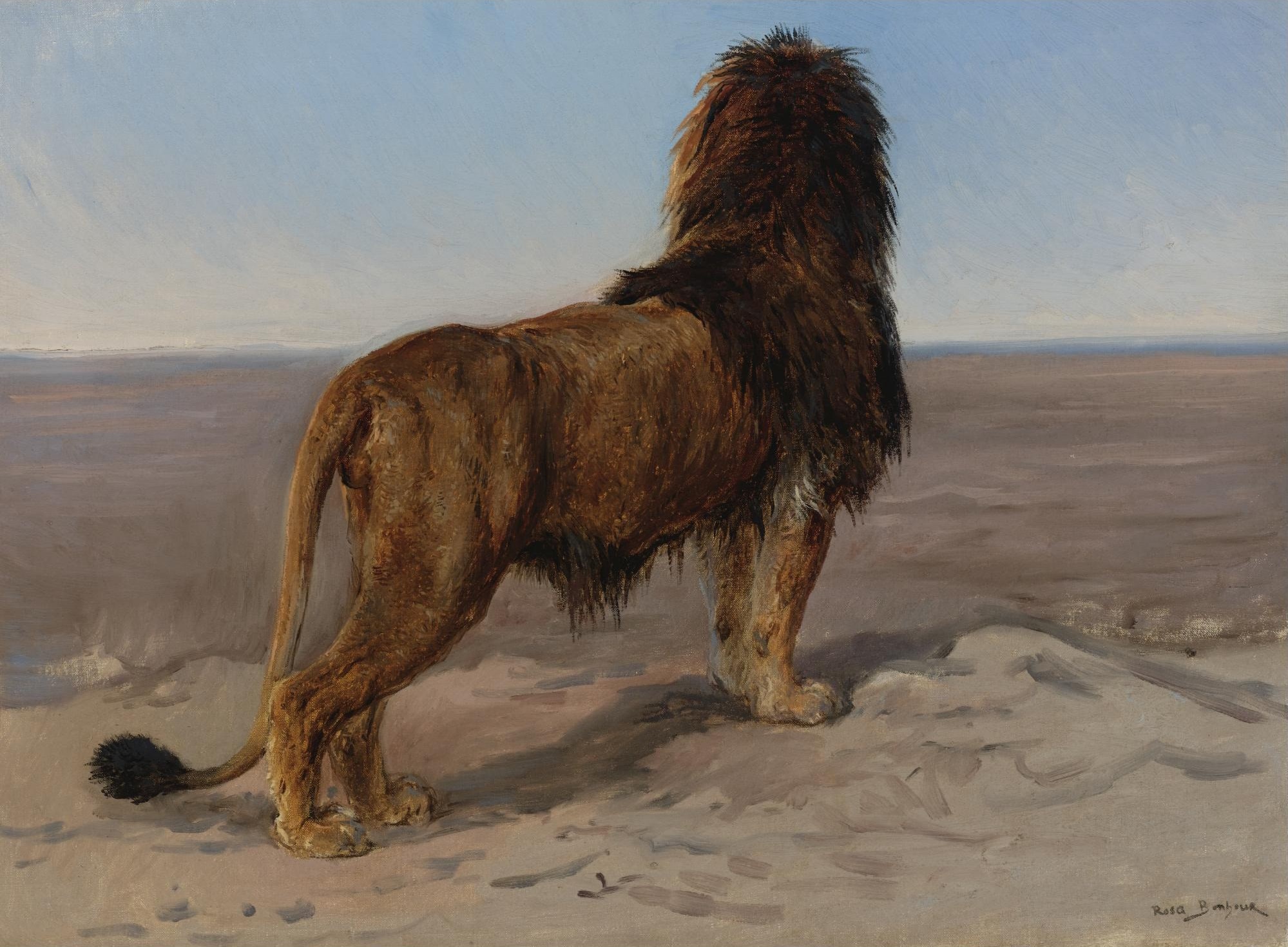 Rosa Bonheur – Lew