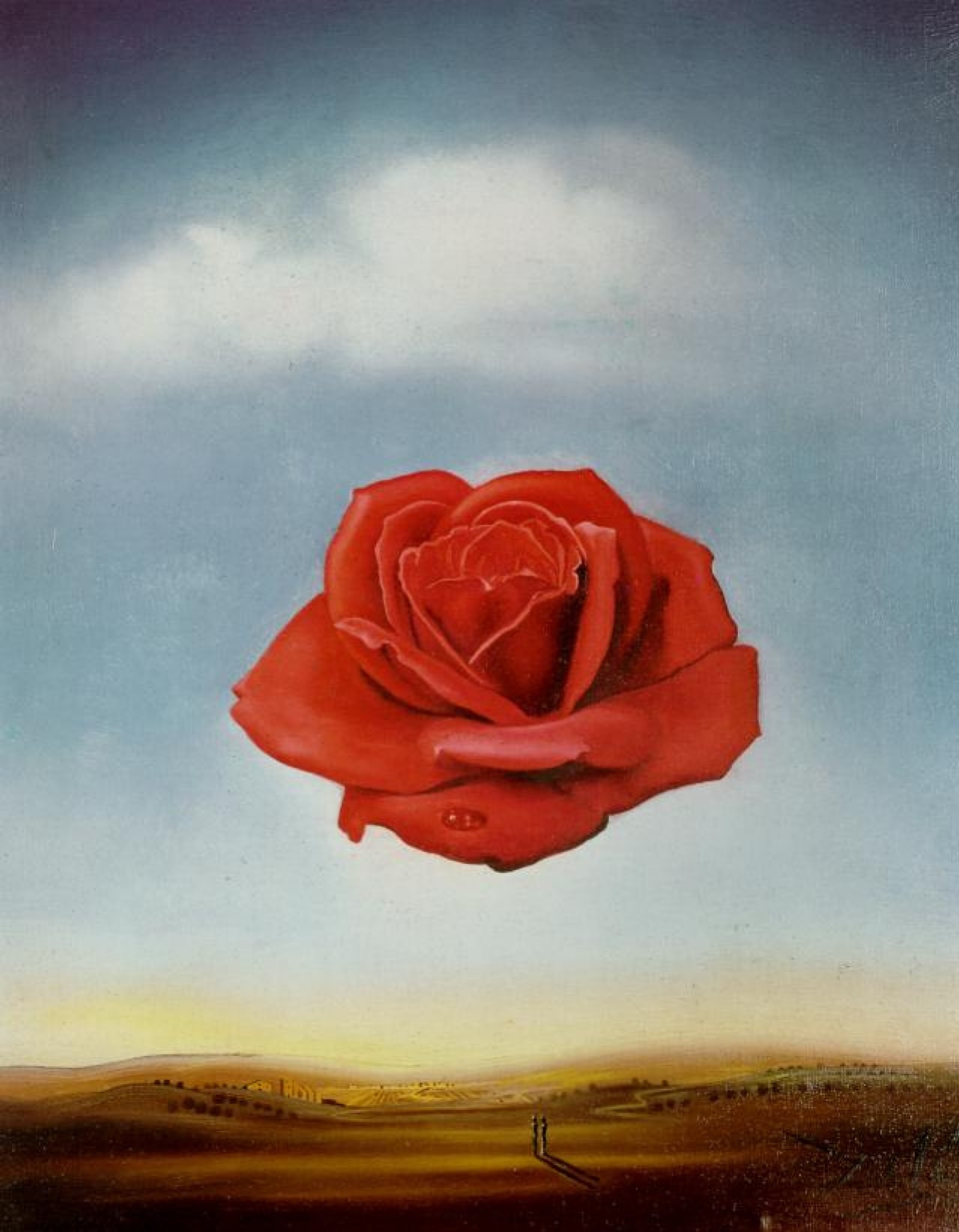 Salvador Dali – Róża medytacyjna