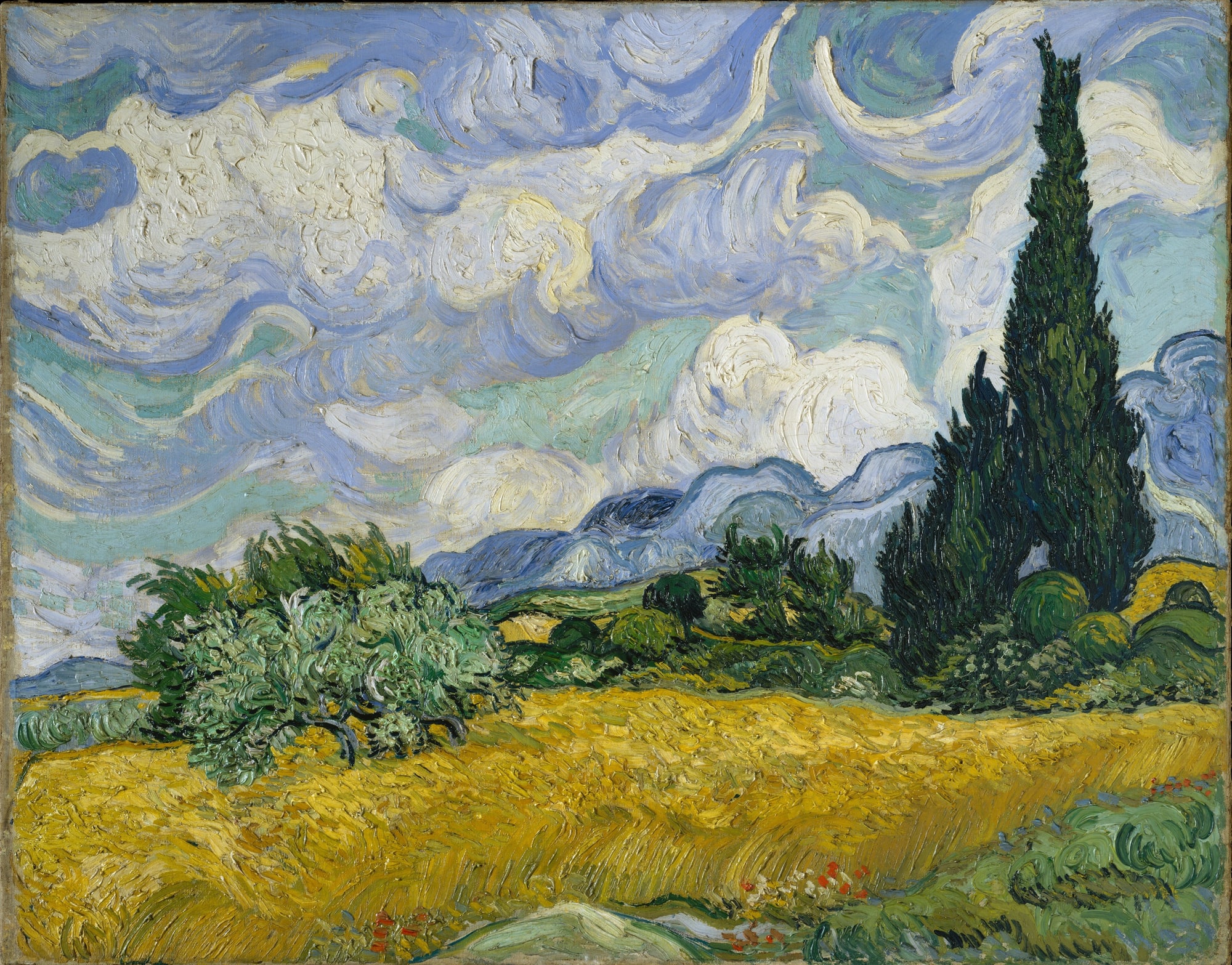 Vincent Van Gogh – Pole pszenicy z cyprysami