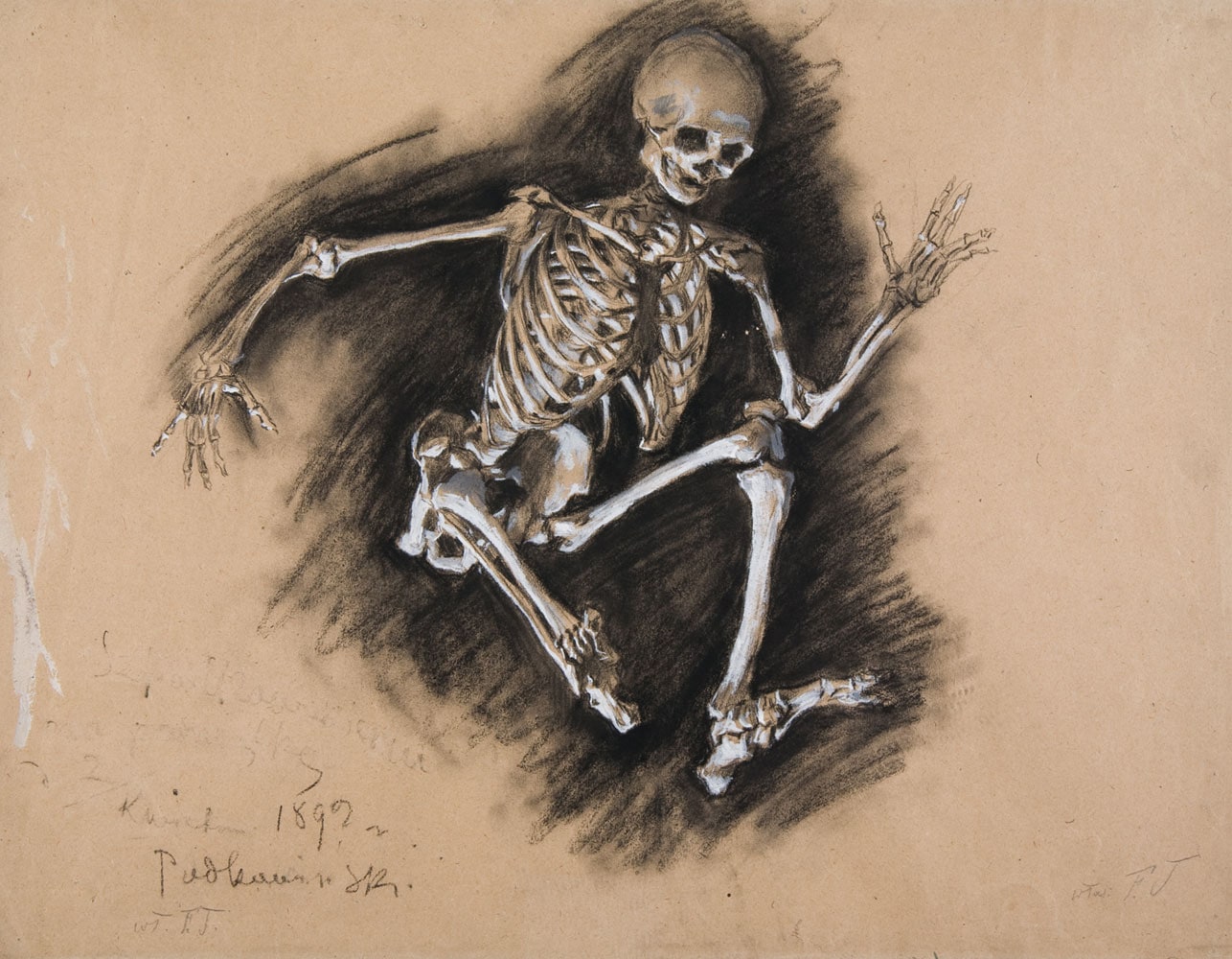 Władysław Podkowiński – Studium szkieletu