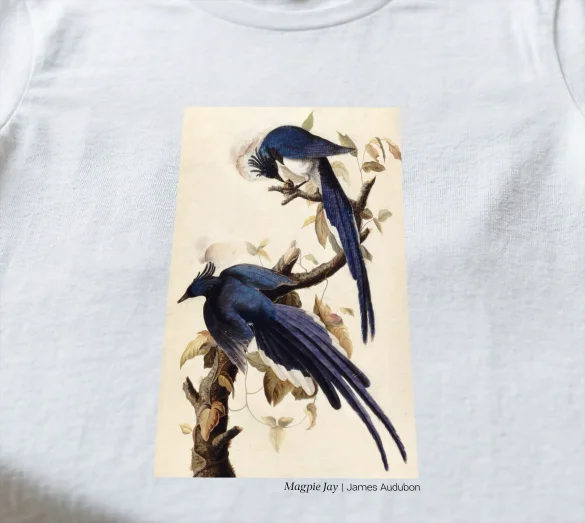 Koszulka z nadrukiem Magpie Jay James Audubon