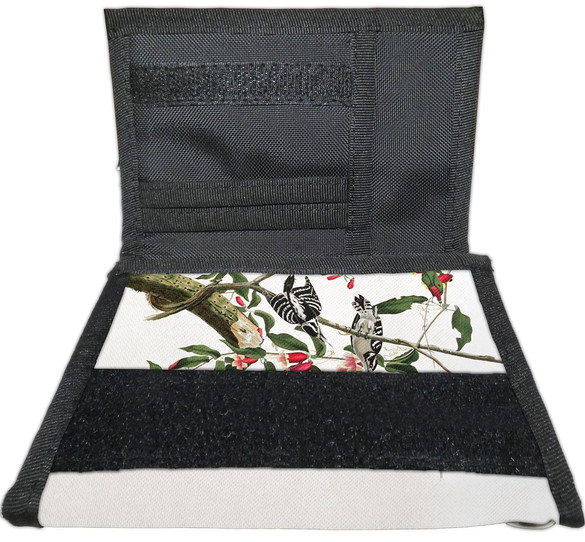 Portfel Downy Woodpecker  James Audubon