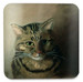 Podkładka pod kubek Studium głowy kota tabby Louis Wain