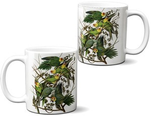 Kubek Carolina Parakeet James Audubon