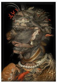 Magnes Woda Giuseppe Arcimboldo