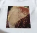 Koszulka z nadrukiem Danae Gustav Klimt