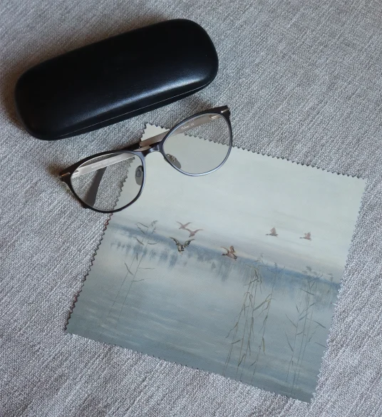 Ściereczka do okularów Kaczki nad moczarami Stanisław Masłowski