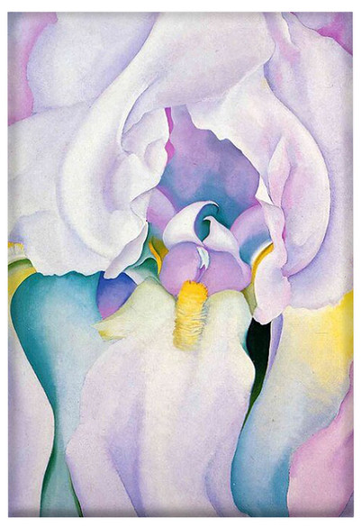 Magnes Biały irys Georgia O’Keeffe