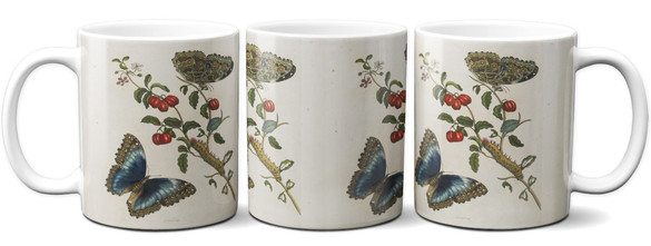 Kubek Great Blue Butterflies and Red Fruits Maria Sibylla Merian