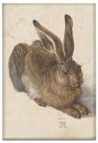 Magnes Młody zając Albrecht Dürer