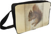 Czerwona wiewiórka