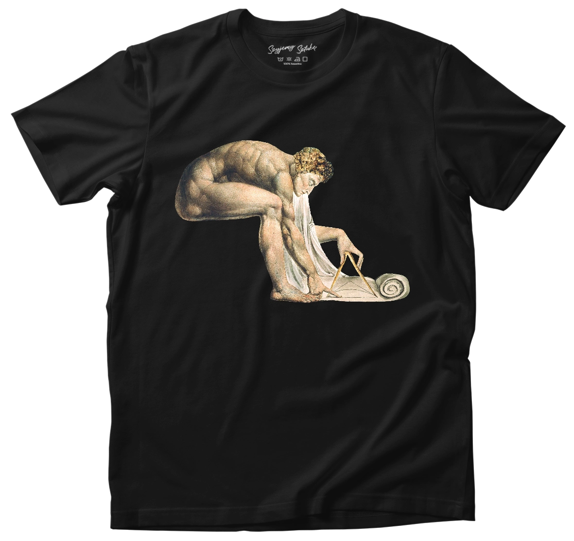 Koszulka Newton William Blake– koszulka z nadrukiem obrazu, t-shirt ze sztuką