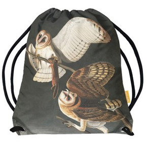 Worek Barn Owl, Tyto Alba James Audubon