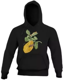 Bluza Cytryna z gąsienicą małpy i chrząszczem harlekin Maria Sibylla Merian