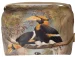 Kosmetyczka kuferek Concave casque Hornbill Joseph Wolf