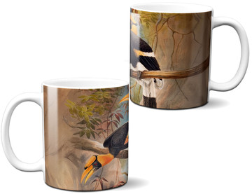 Kubek Concave casque Hornbill Joseph Wolf