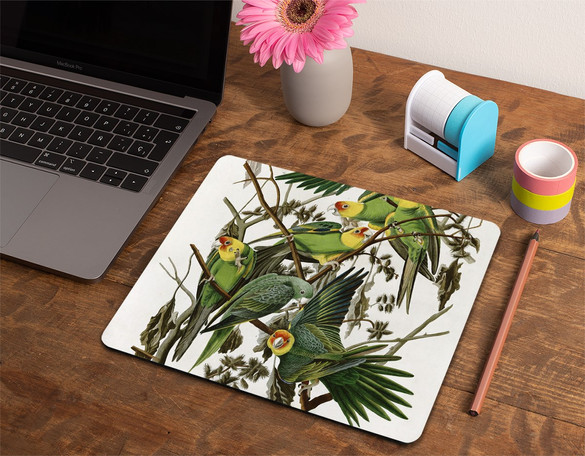 Podkładka Carolina Parakeet James Audubon 36x29cm
